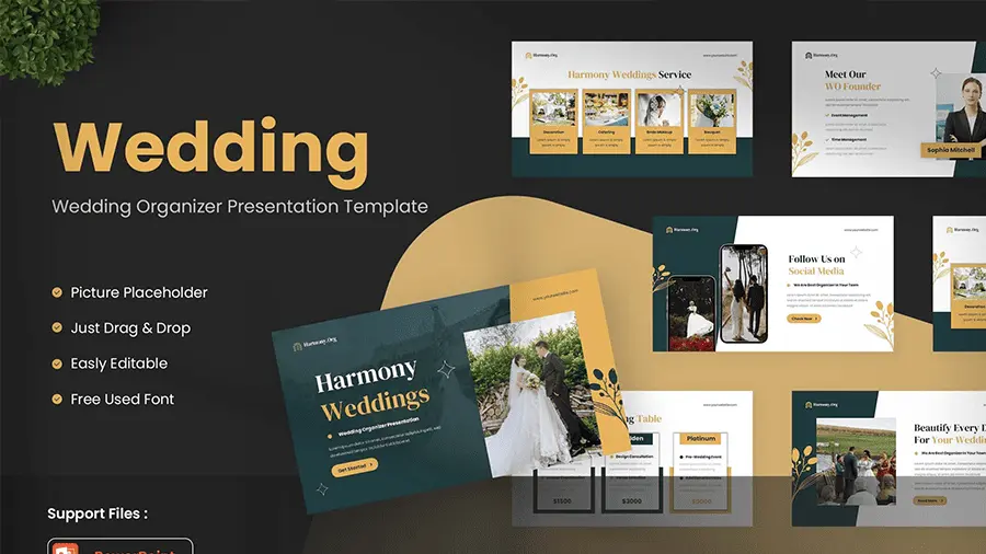 تنظيم شرائح بوربوينت