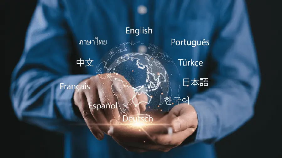 ملحقات الفيديو 