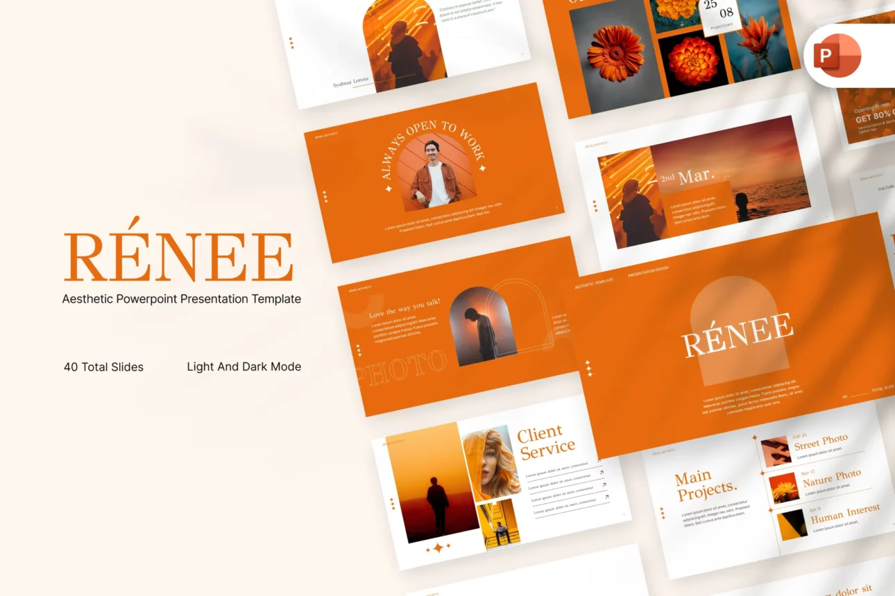 Renee Aesthetic Professional PowerPoint Template