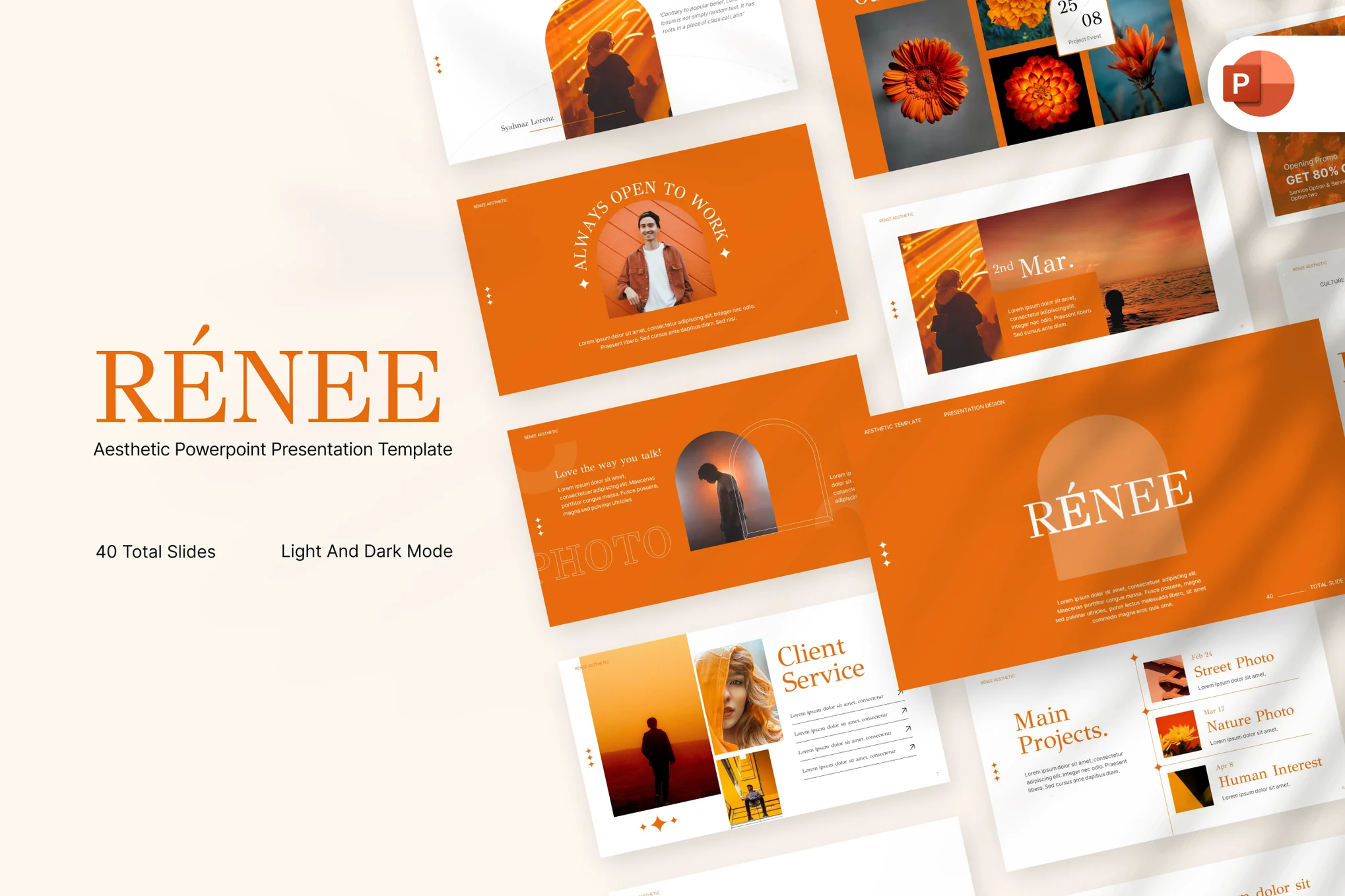 Renee Aesthetic Professional PowerPoint Template