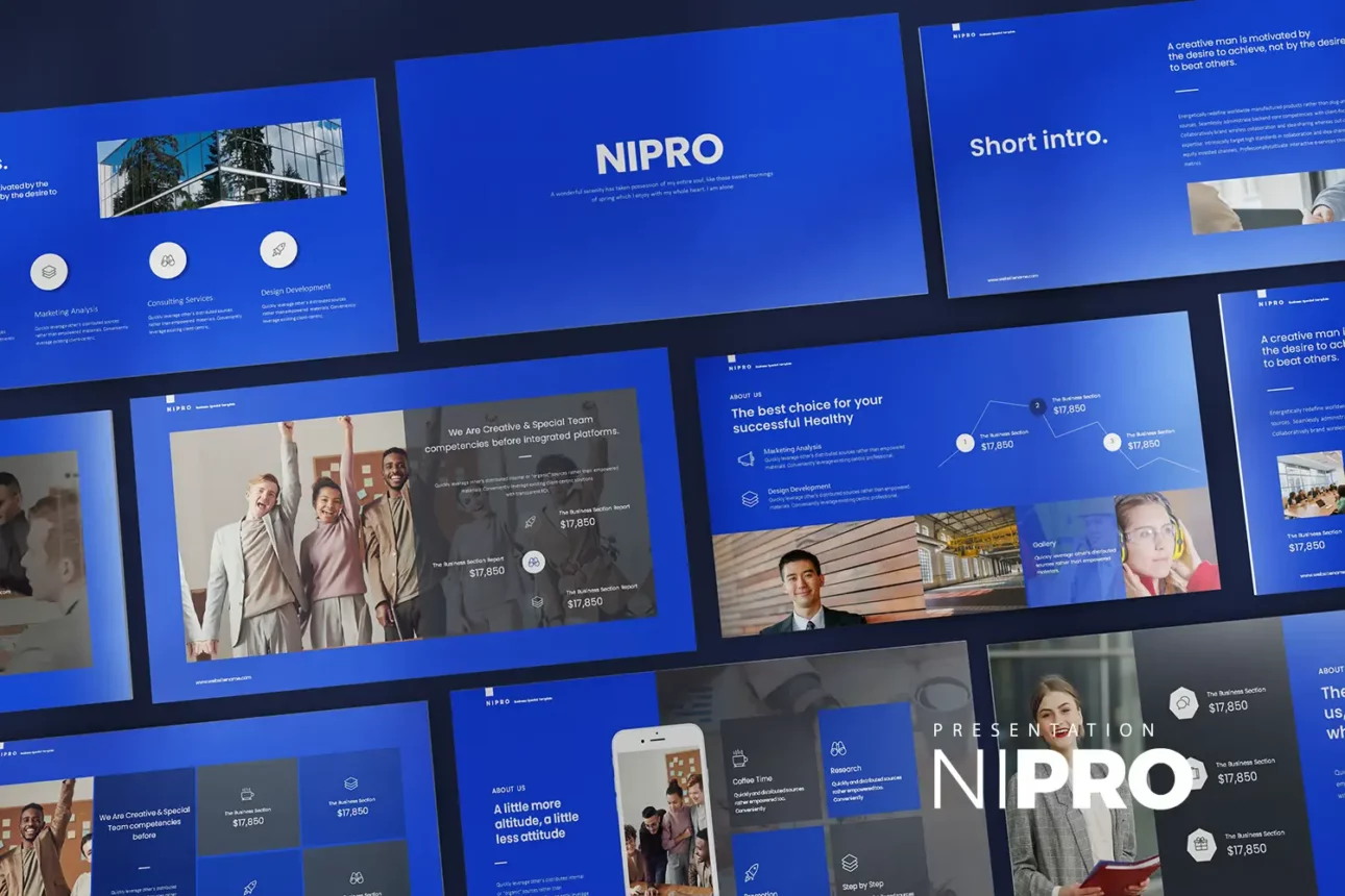 Nipro PowerPoint Presentation