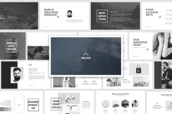 Delica Powerpoint Presentation