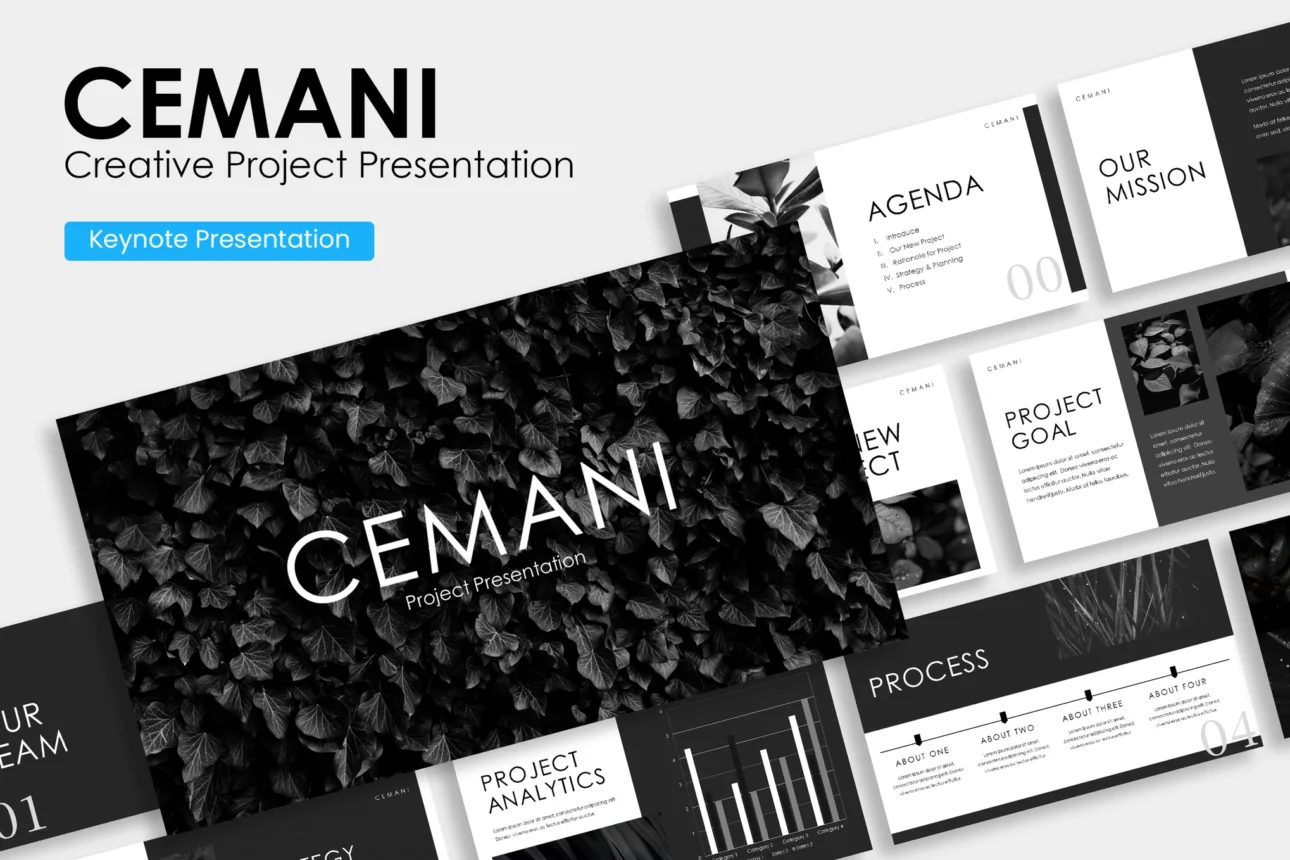 CEMANI - Creative Project Presentation Template