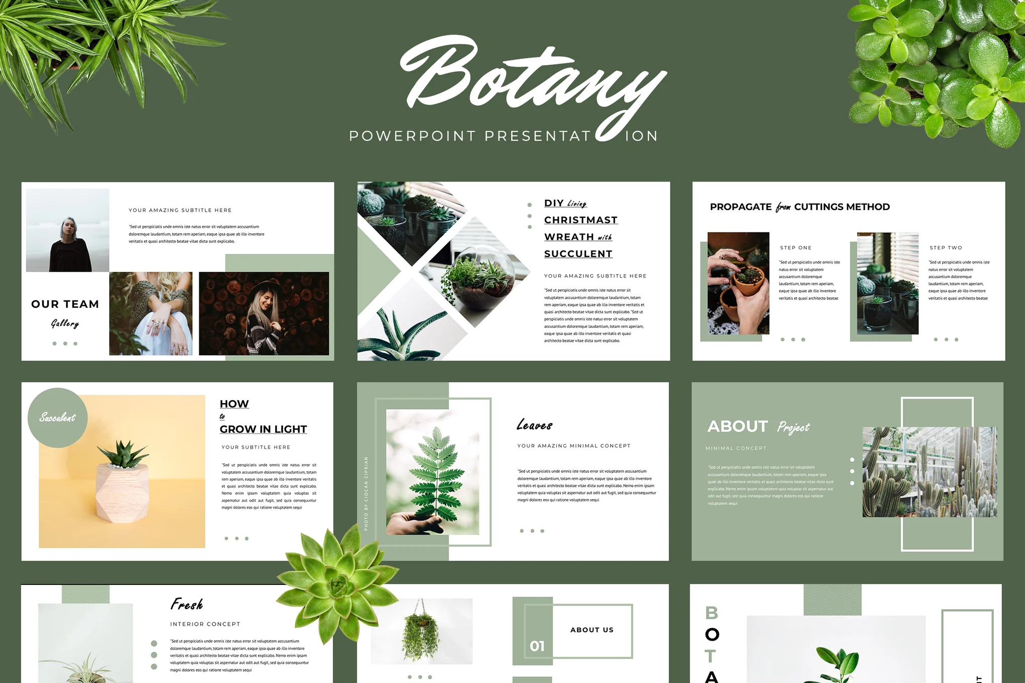 Botany Powerpoint Presentation