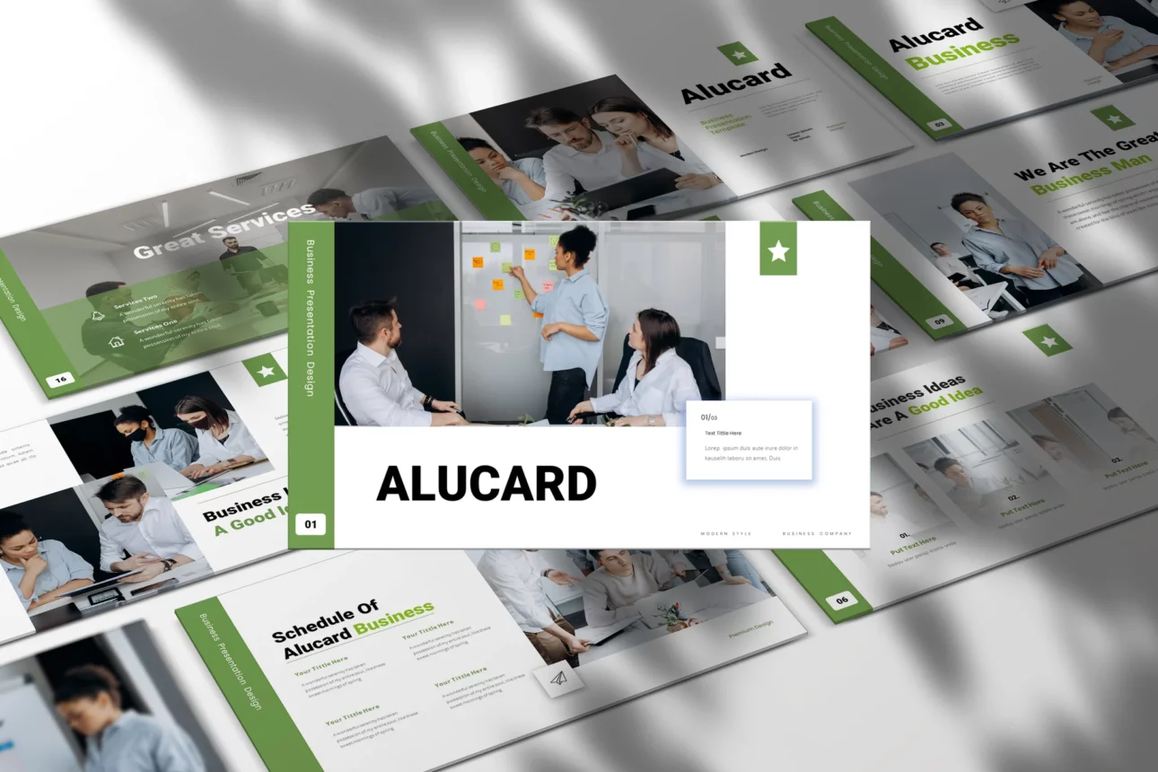 14 Alucard Business Presentation PowerPoint Template