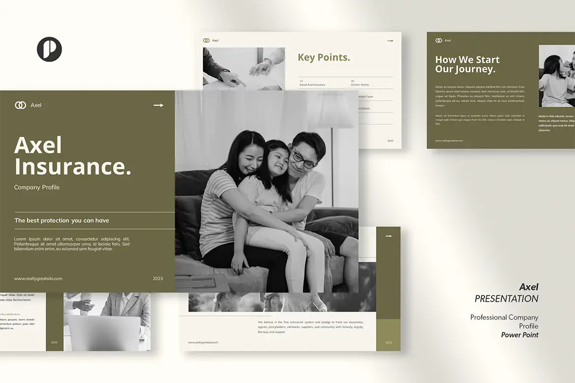 Professional company profile presentation