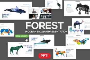Forest Powerpoint Presentation