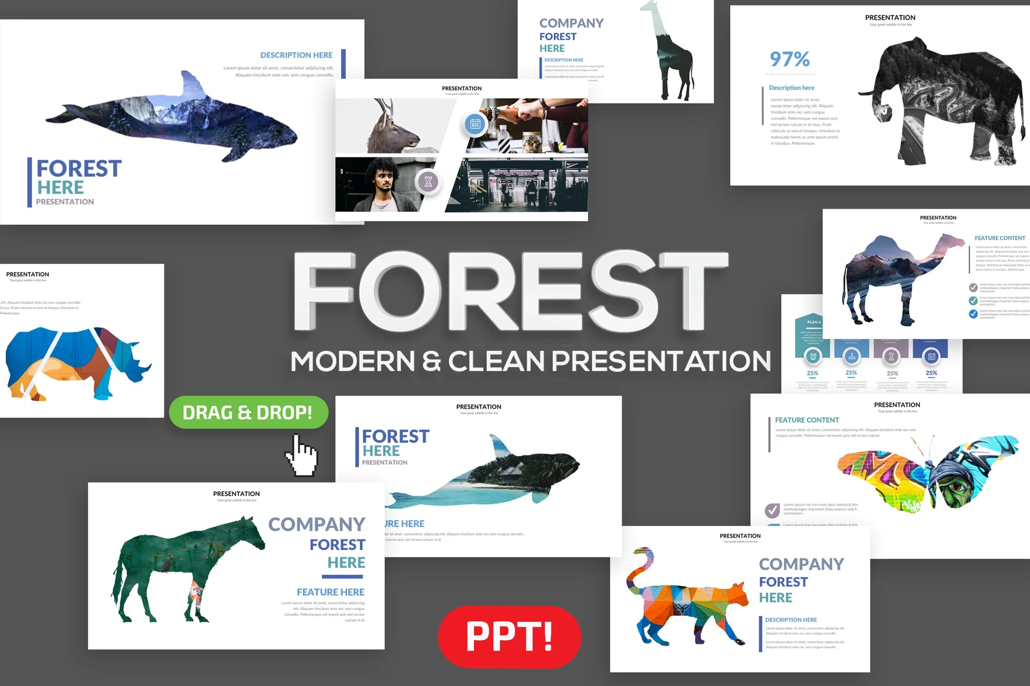 Forest Powerpoint Presentation