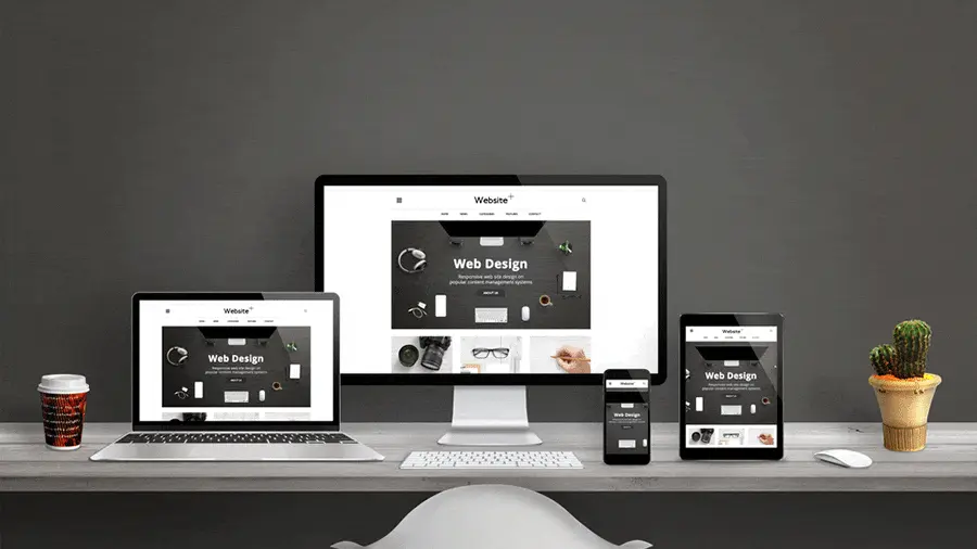 ما هو السيو