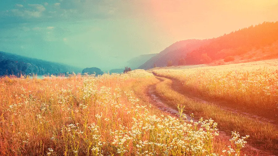 موشن جرافيك