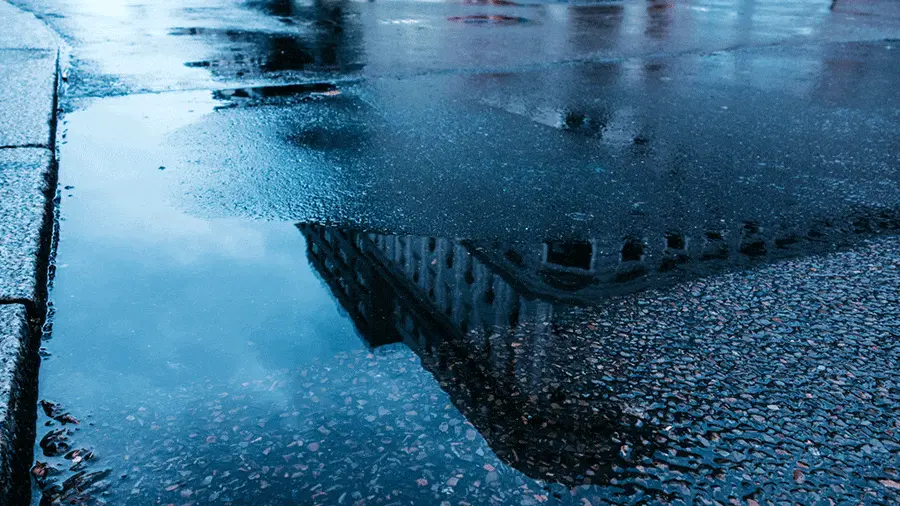 موشن جرافيك