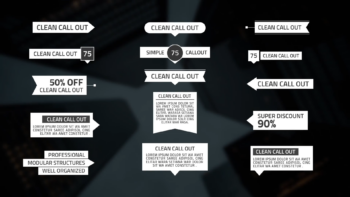 Label Call-Out | Premiere Pro