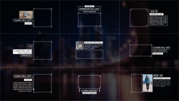 Target Area Call-Out | Premiere Pro