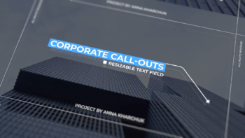 Call Outs Clean & Simple \ Premiere Pro