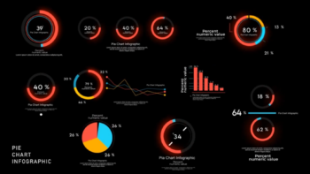 Pie Chart Infographics