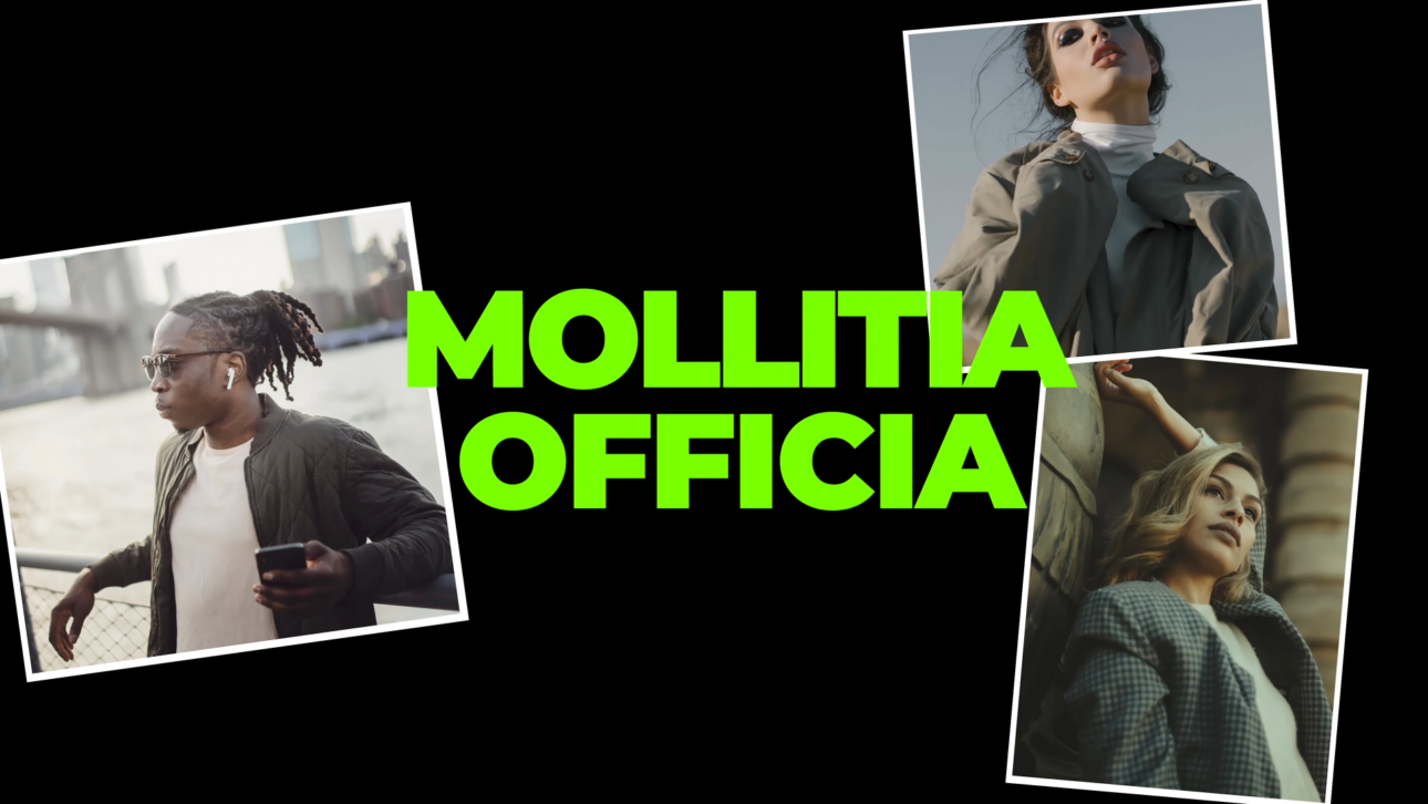 Clean Dynamic Intro 4K | Premiere Project