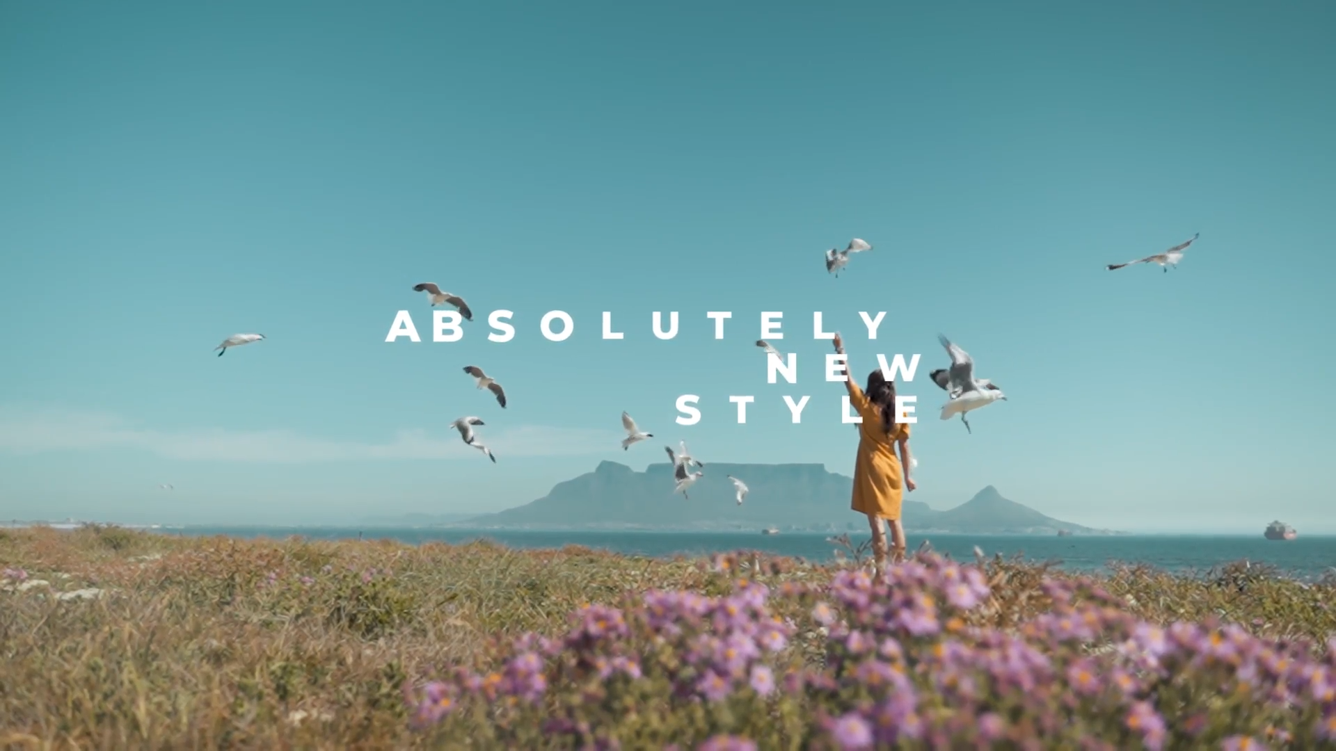 video-capture-4.96seg-3835 Minimal Typography