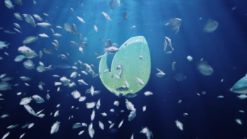 Ocean/Blue Sea Eco Fish Logo Text