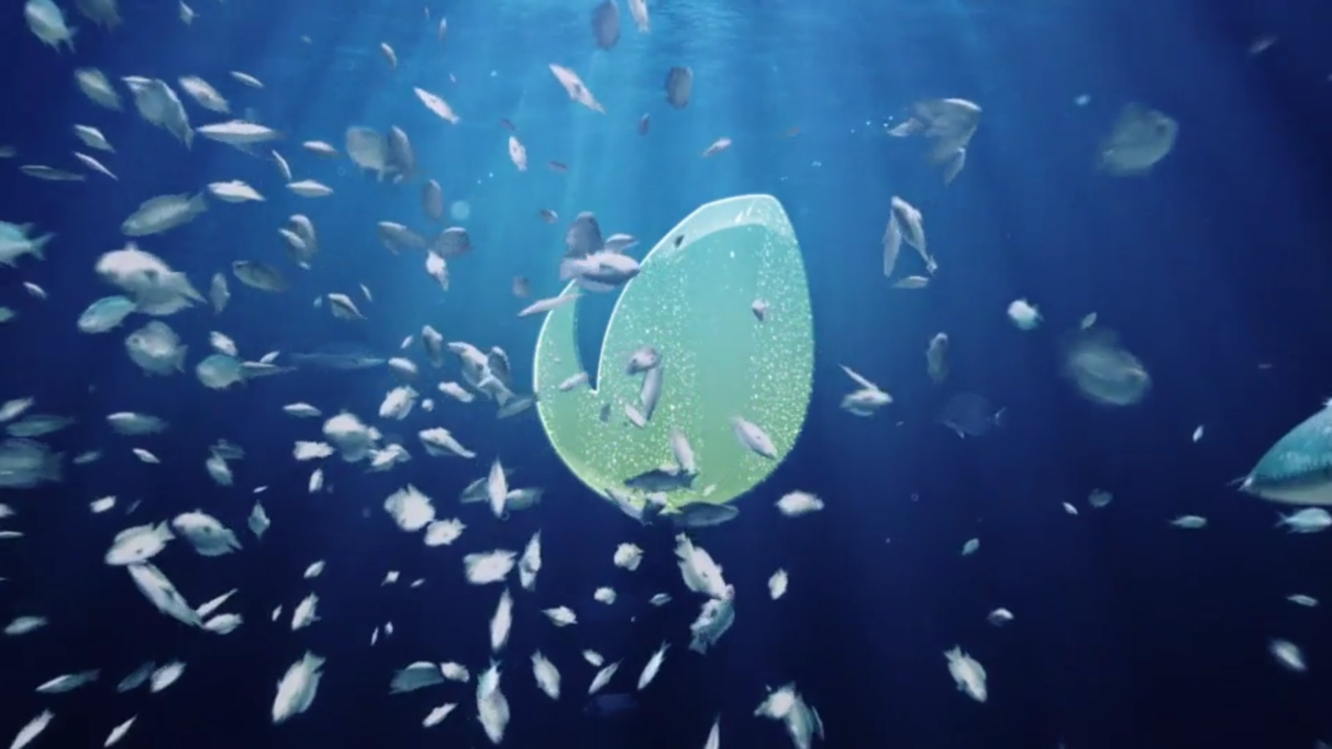 Ocean/Blue Sea Eco Fish Logo Text