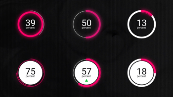 Infographics Pie Chart