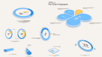 Pie Chart Infographics 3