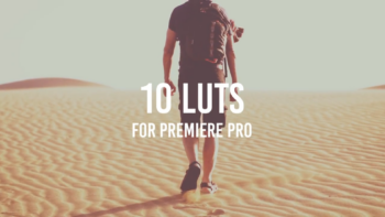 10 LUTs