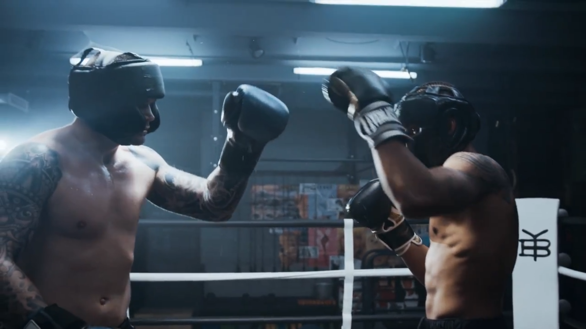 30 Shake Transitions