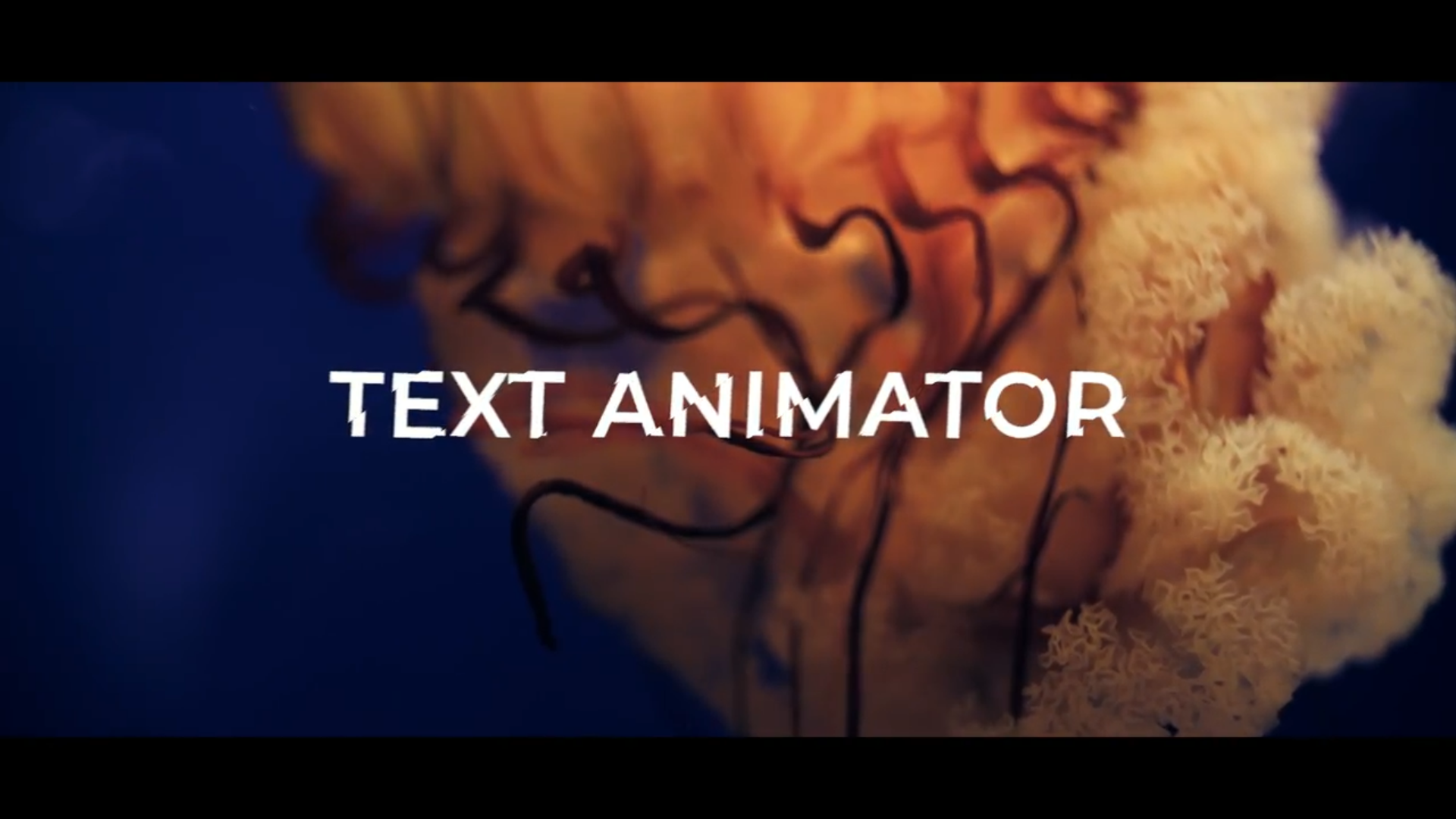 video-capture-2.07seg-7563 Text Animator Cinematic