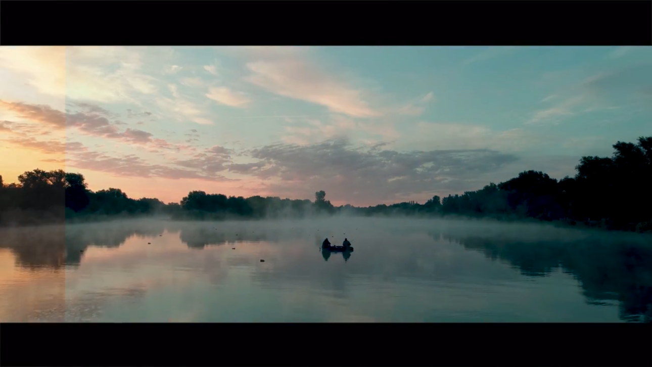 Complete Film Emulation Bundle