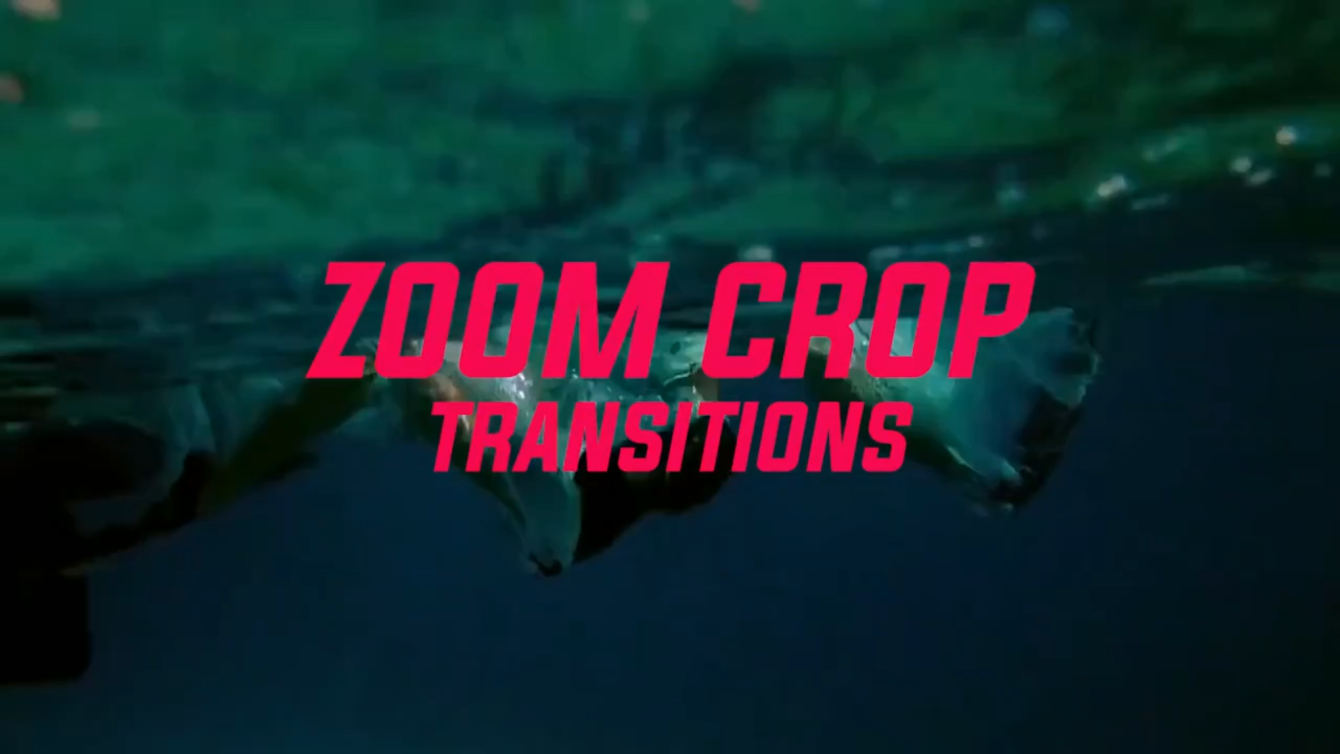 Zoom Crop Presets