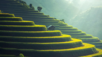 Parallax Smooth Zoom Out