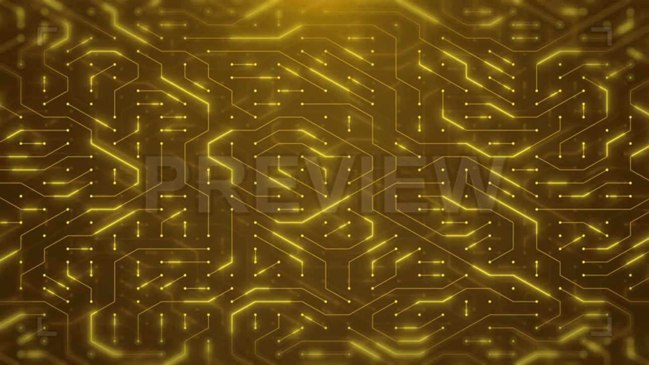 Gold Circuit Board Background Loop
