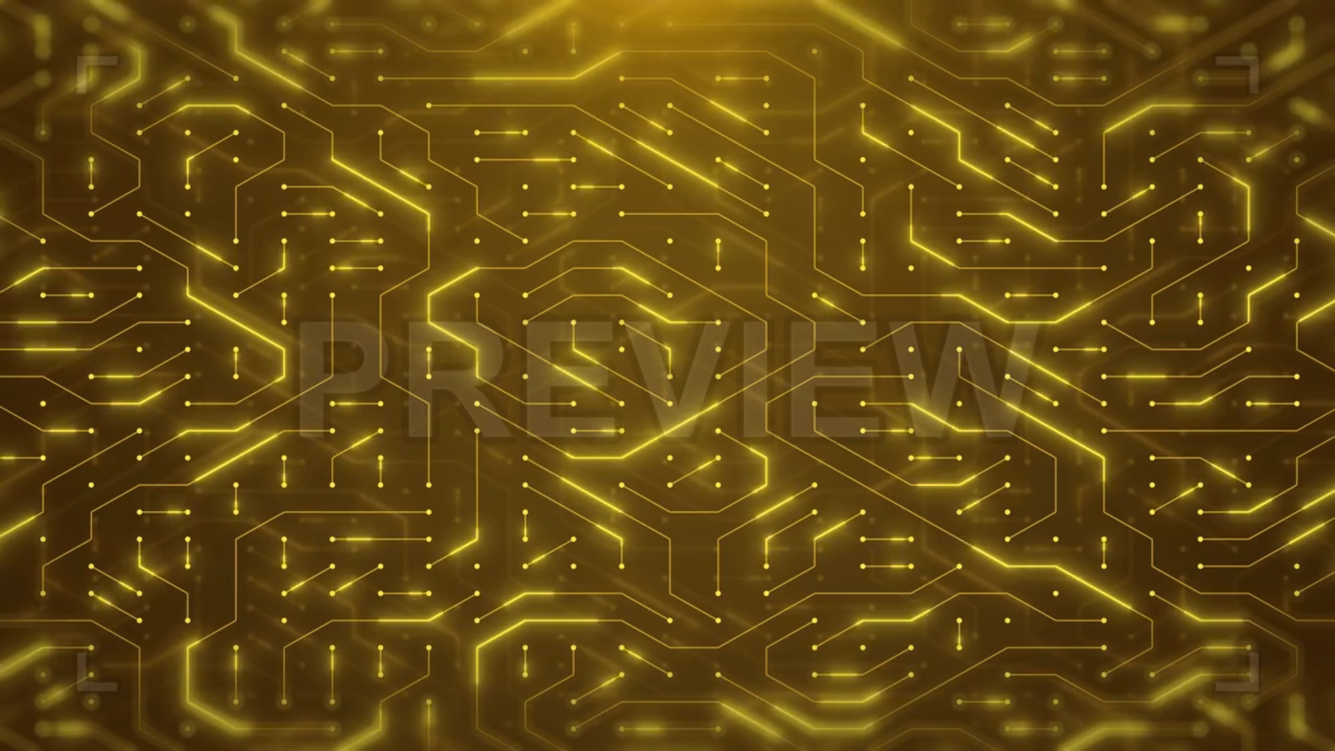 Gold Circuit Board Background Loop