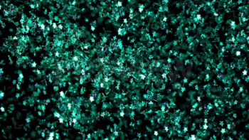 video-capture-1.81seg-1517 Christmas Shimmering Green Stars