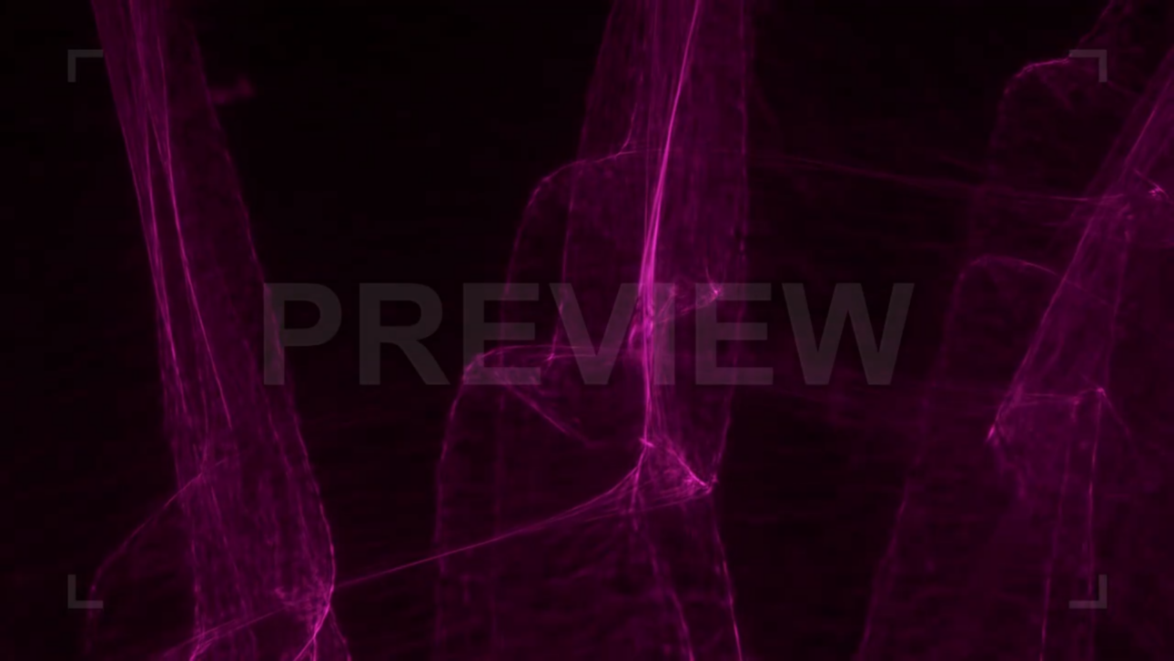 Purple Lights With Black Background