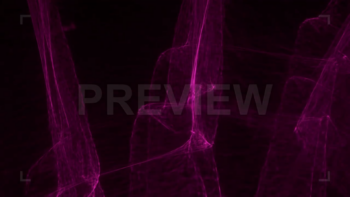 Purple Lights With Black Background