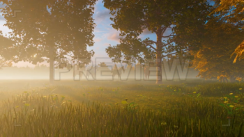 Horses In The Pasture At Sunset