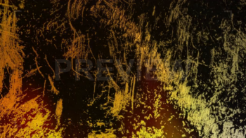 Light Leaks And Dirt