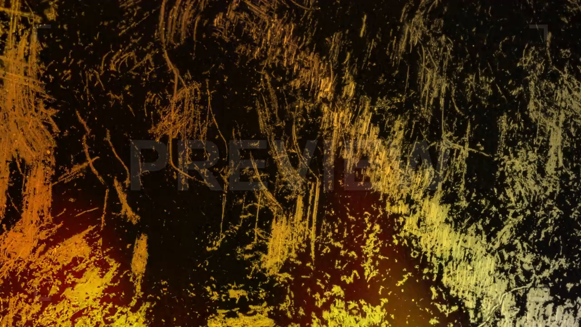 Light Leaks And Dirt