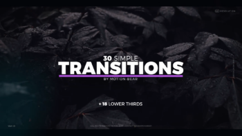 The Transitions