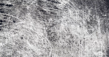 Scratches And Dirt Background