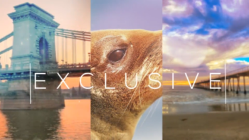 Modern and Fast Travel Portfolio