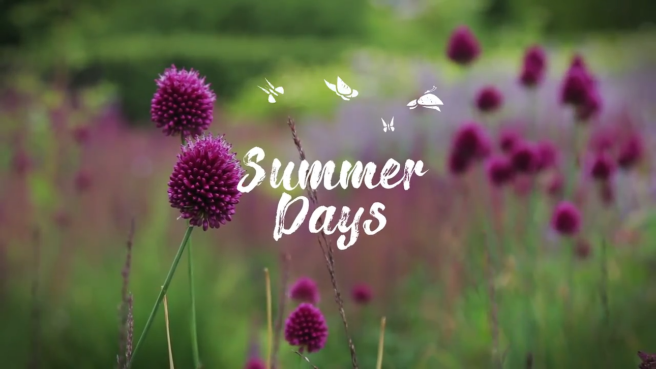 Vacation Travel Hand Drawn Titles