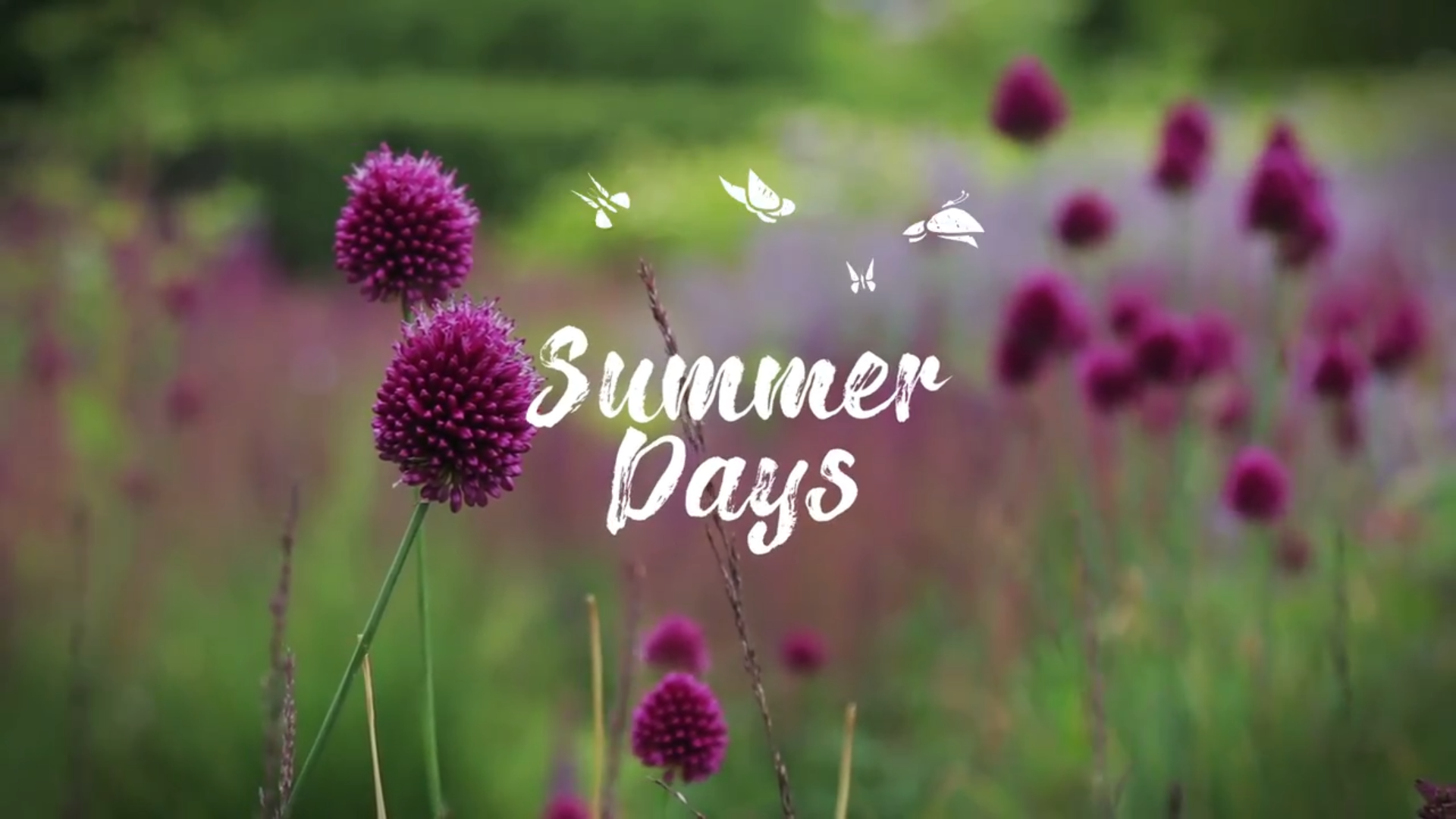 Vacation Travel Hand Drawn Titles