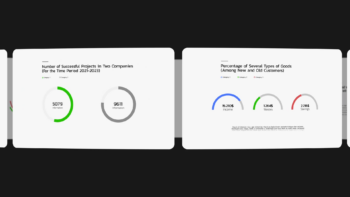 Minimalistic Pie Charts