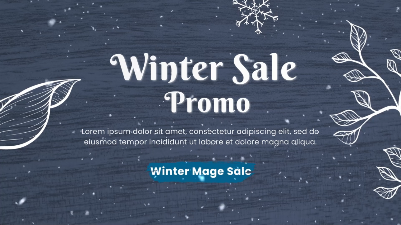 Winter Sale Promo