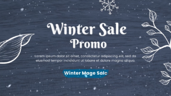 Winter Sale Promo