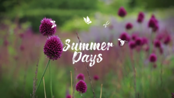 Vacation Travel Hand Drawn Titles