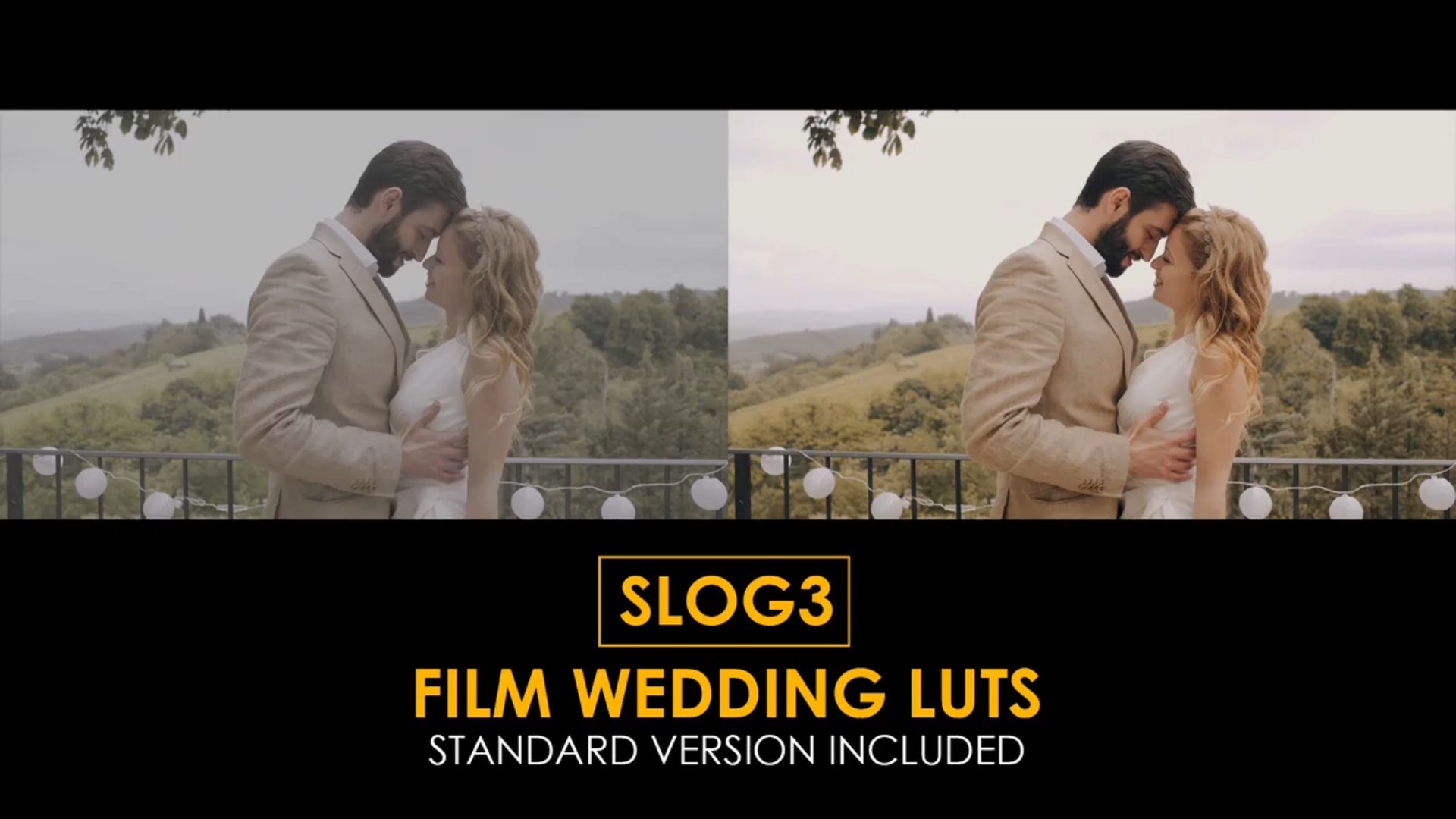 video-capture-0.00seg-984 Slog3 Film Wedding And Standard Luts