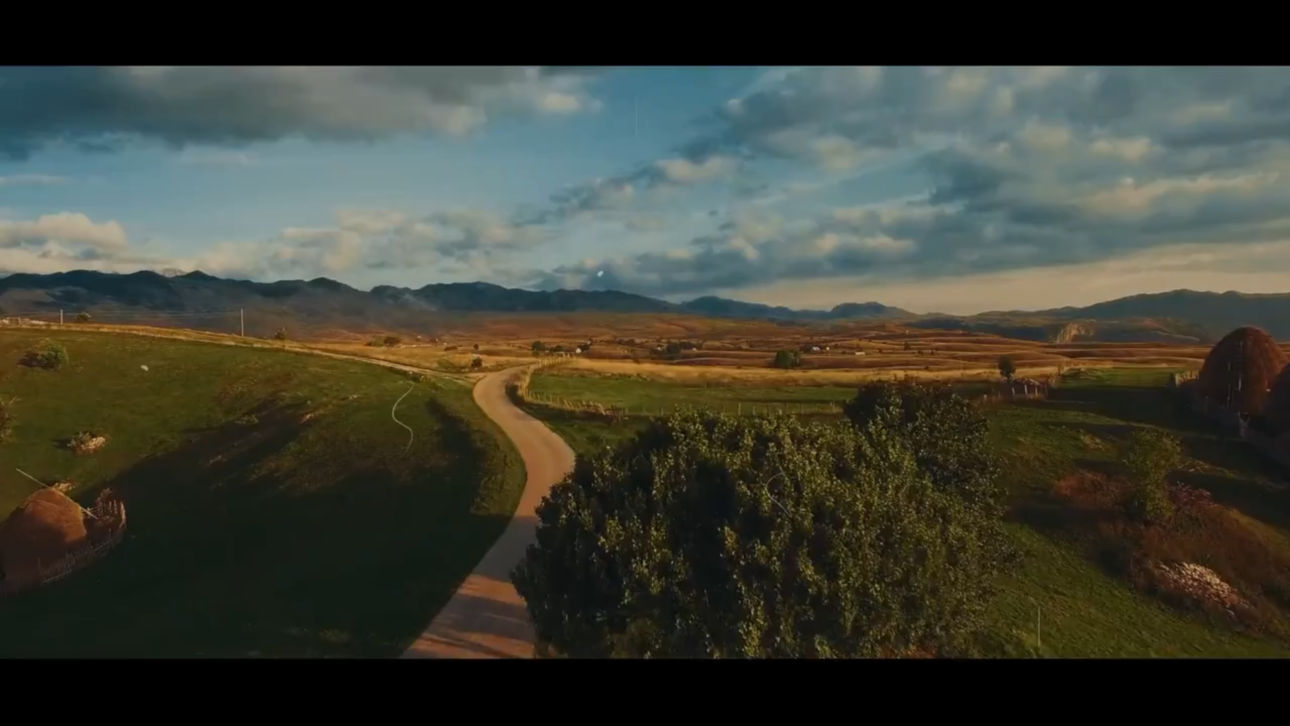 Film Look LUTs & Footages